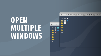 View Monitor in New Window